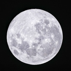175069