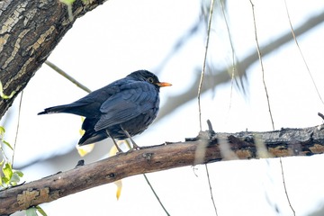 DSC_7144-1