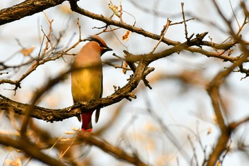 DSC_9973-1