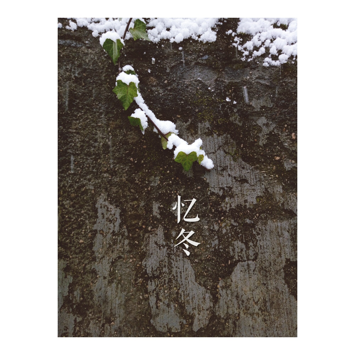 还记得那年冬天