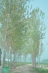 1000046479