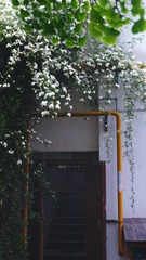2CB43808-5DE6-4D80-8420-C25E3251094B/L0/001