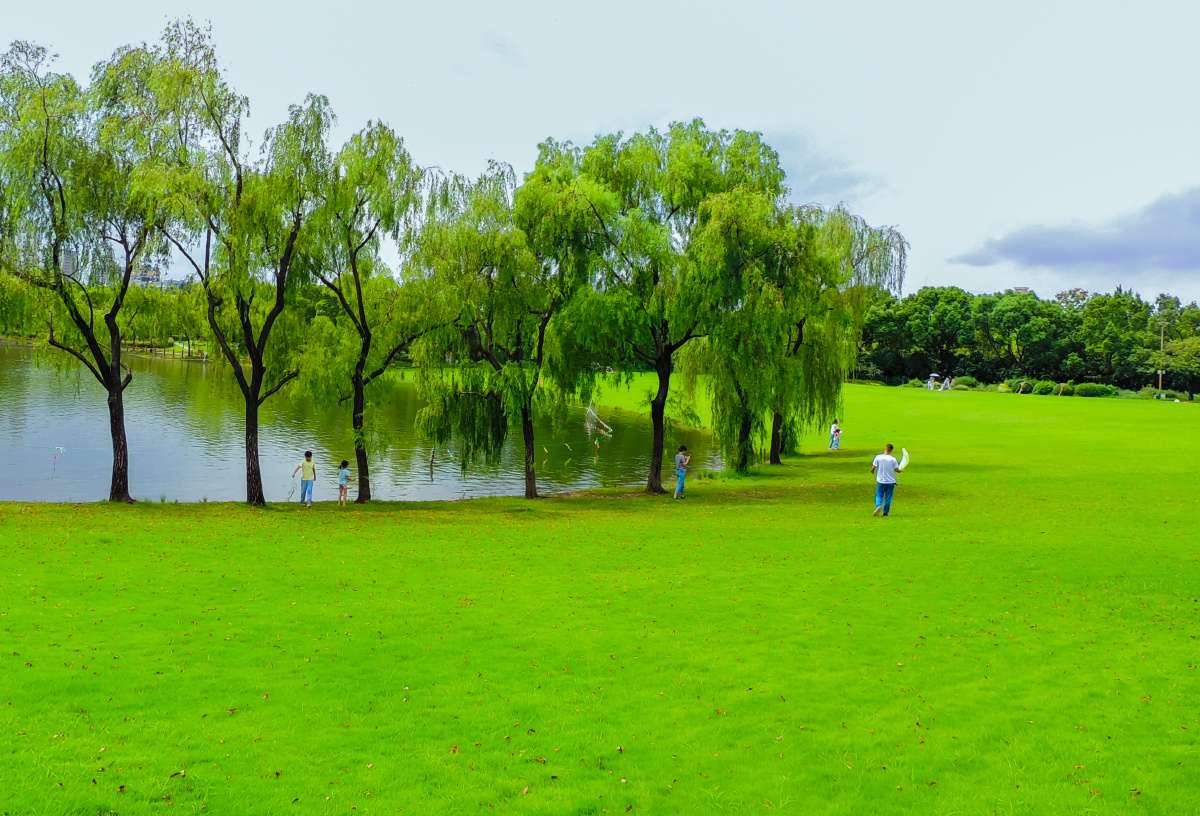 湖畔草坪上海