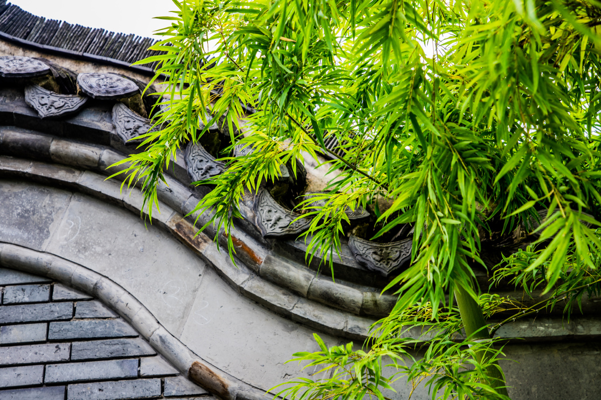 竹与建筑扬州个园