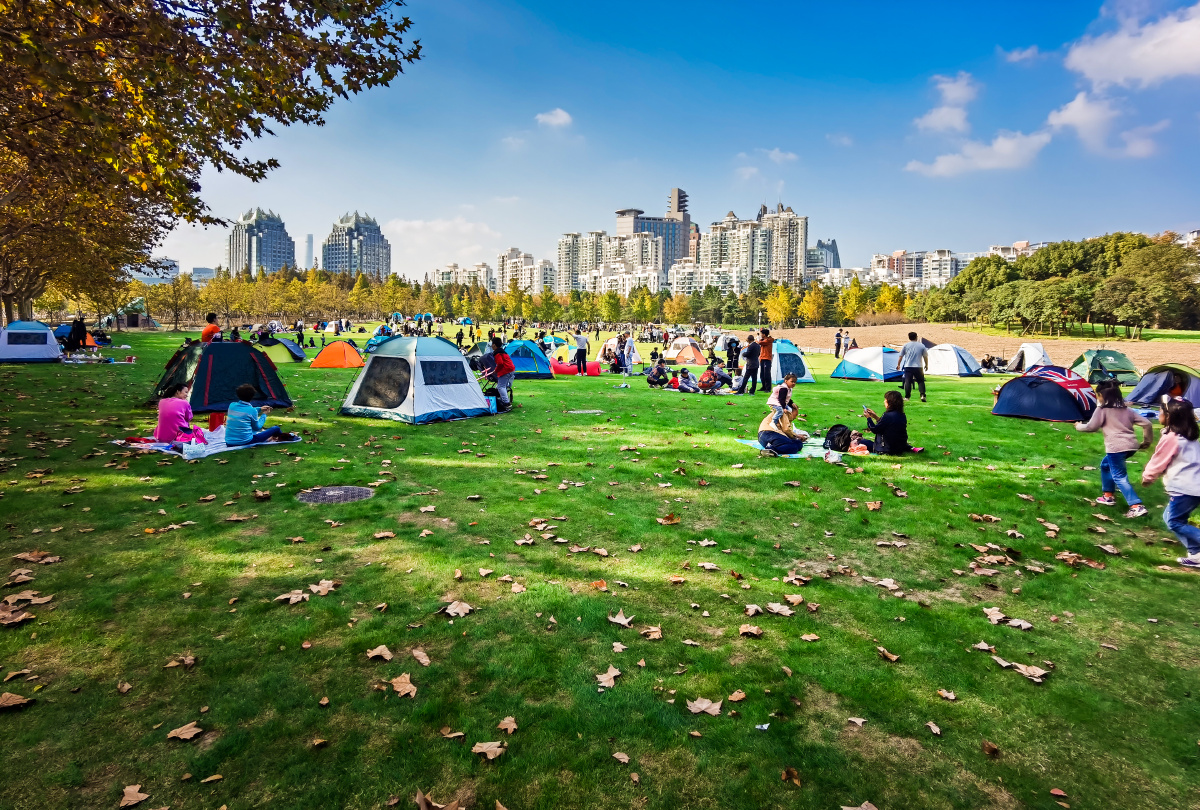 周末草坪休闲上海世纪公园