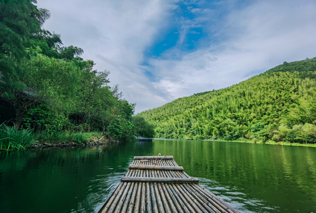 坐竹排看竹海(江苏南山竹海) - 常春藤225