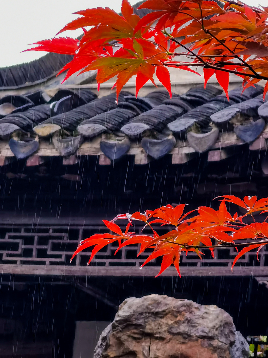 雨中红叶(红叶与古建筑装饰)