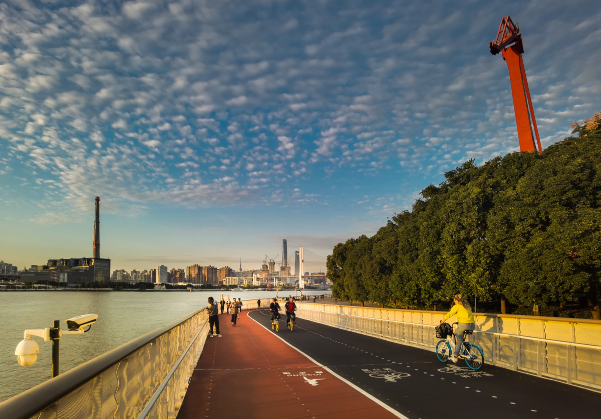 黄浦江绿道10