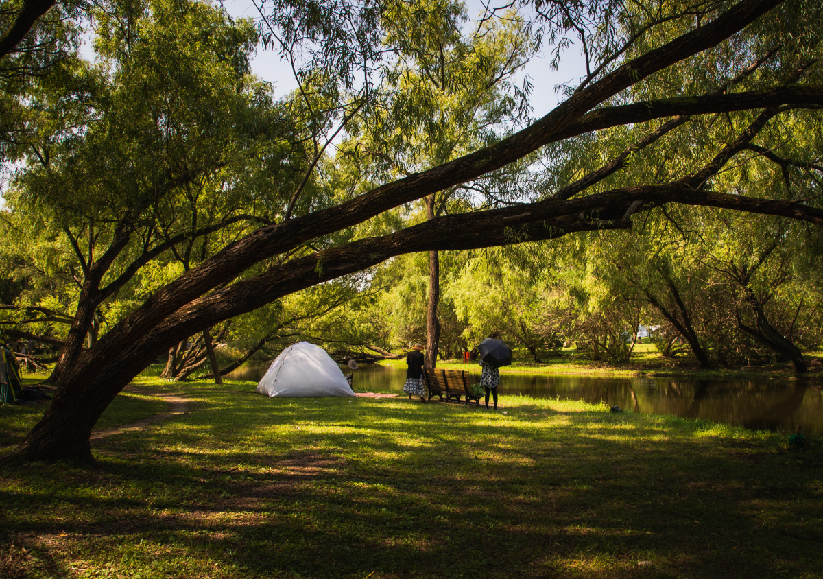 斜树与帐篷