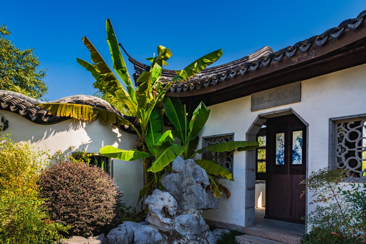 芭蕉叶与古建筑南浔古镇宜园