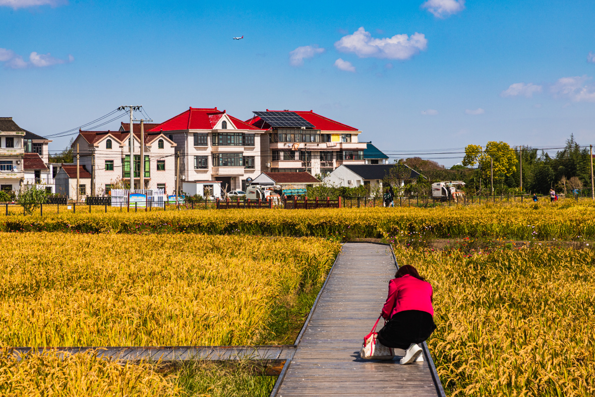 农村新貌上海浦东