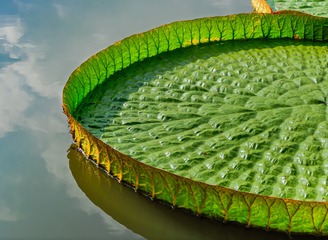 113584