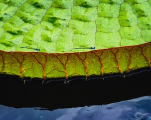 113582
