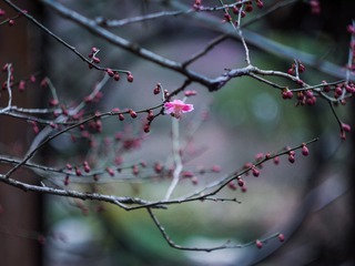 7C21A133-2A1B-4E5E-8785-BD150474569F/L0/001