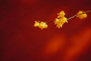 75AFFA3B-B480-4CA7-922F-FF520F569E83/L0/001