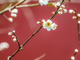 7ACC583D-6D8F-401C-90D3-EE214DAA0741/L0/001