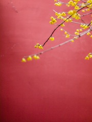 42C4355F-BABA-4295-B88C-C9B0F5D59994/L0/001