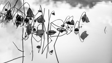 6A44848F-C196-4619-A4F0-E351878895A2/L0/001