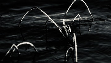 A5B3C0D9-0572-4FE9-B1D2-BAAD2C174C00/L0/001