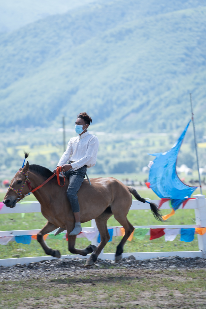 甘孜州的赛马节简直太精彩了看马儿跑得多逍遥