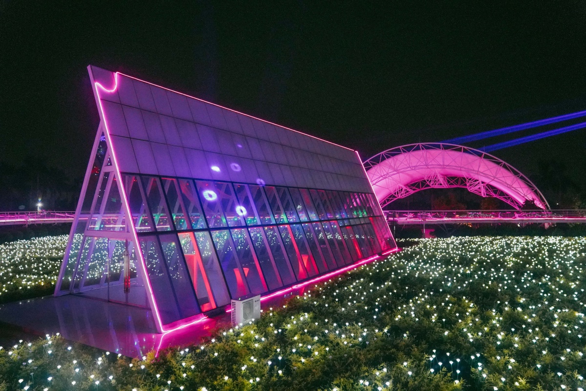 百万葵园向日葵给你一个欣欣向荣的夏日