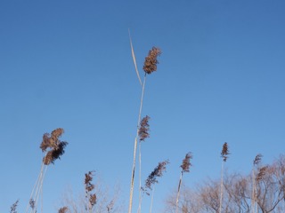 ED463886-8F46-4796-BB9A-92599E3DC018/L0/001