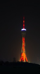 DSC06049