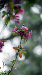 _DSC1080