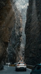 _DSC0798
