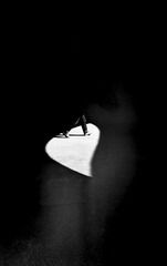 5701E788-A7B9-4301-997F-68E9366FFA6A/L0/001