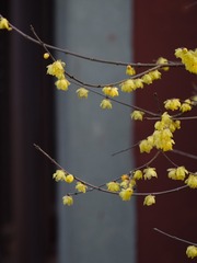 85654B2E-EF00-48C8-B143-2129DB25C8F4/L0/001