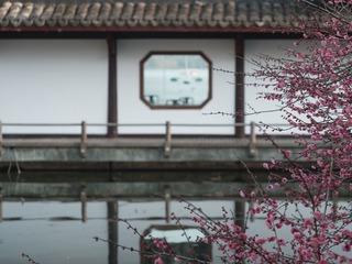D33C7ACD-BDDC-4EB2-982A-700D9FF85676/L0/001