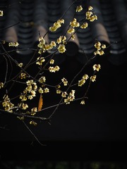 0DA7CDDB-648A-42E2-8FD0-6AD5F4A2F810/L0/001
