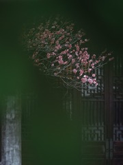 C8945CE6-E19A-4150-8D8B-8A815E55FCAF/L0/001