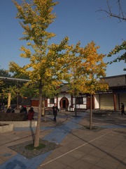 P1010238