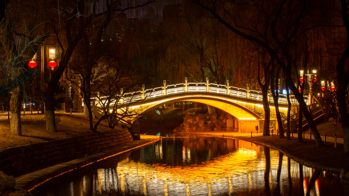 公园小桥夜景
