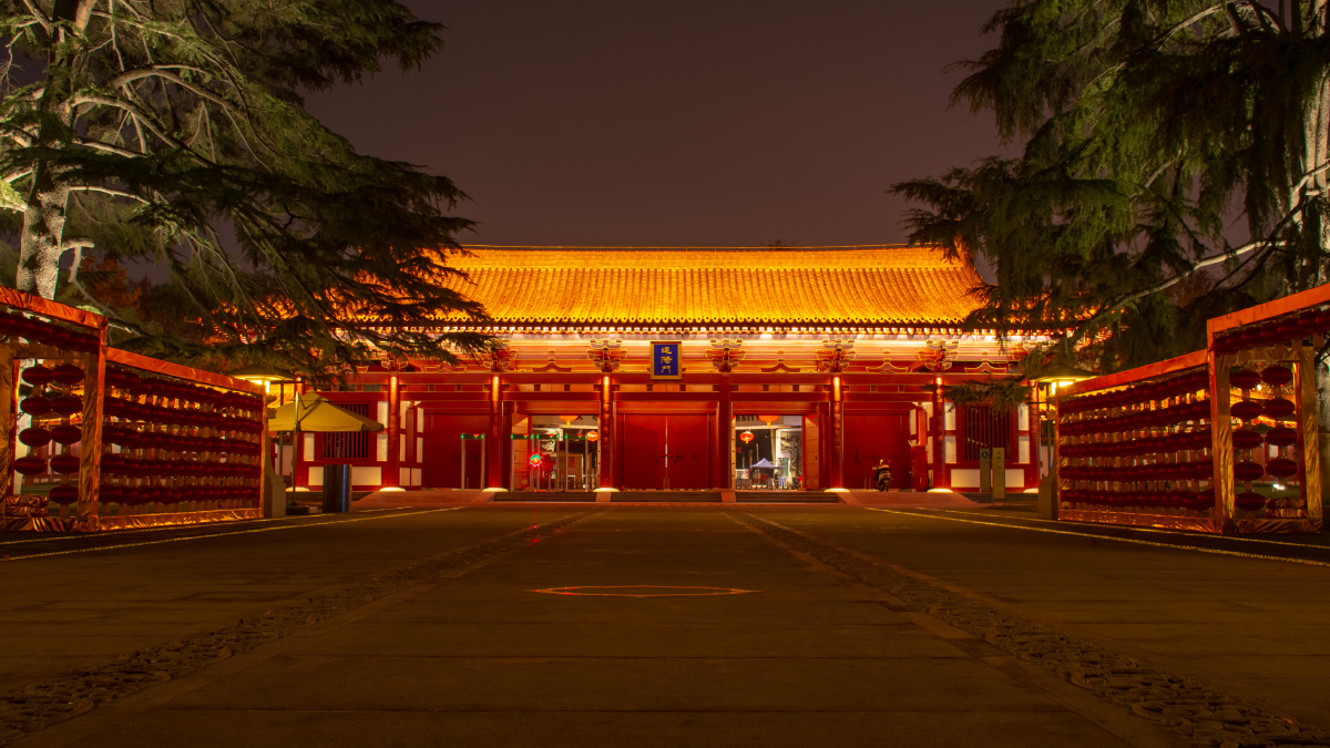 西安兴庆公园大门夜景