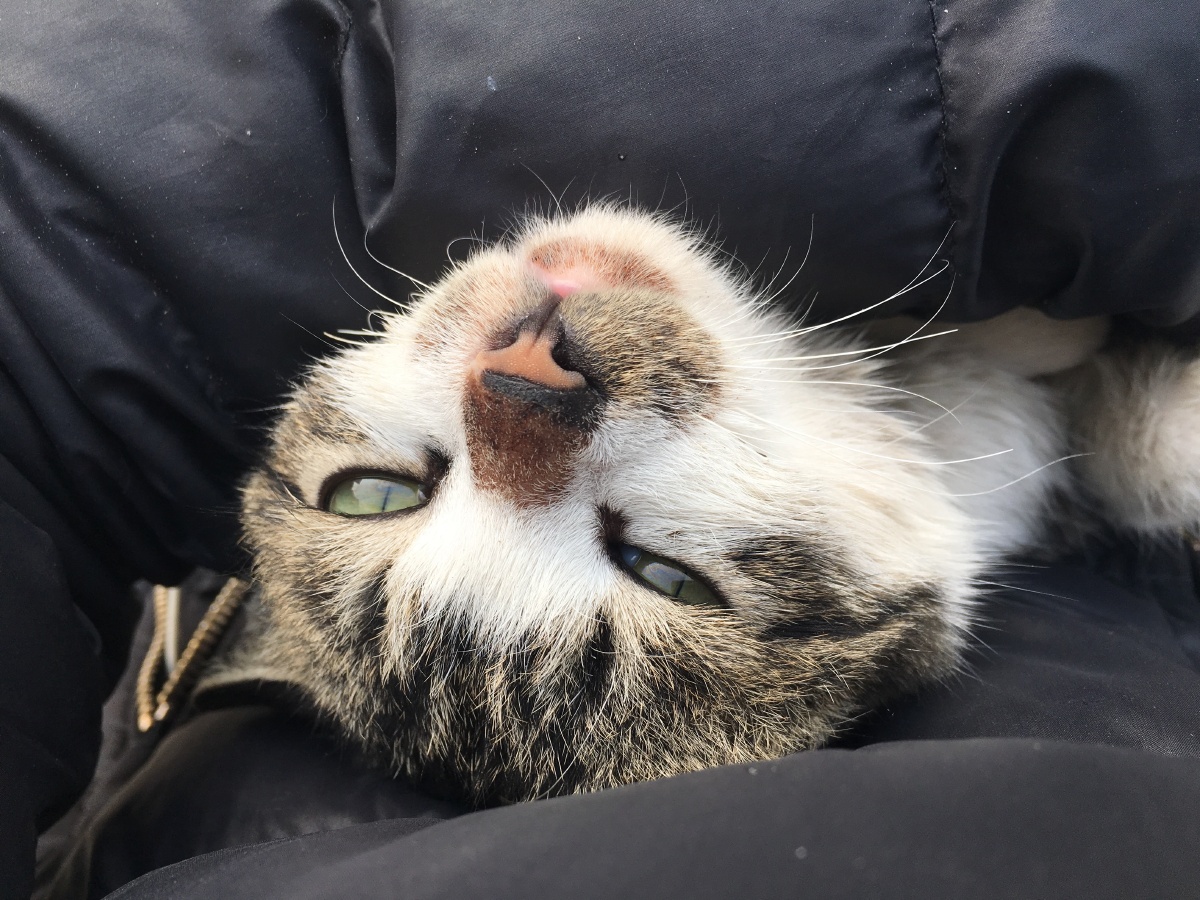 我怕来不及,我要抱着你~