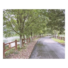 397339C4-2BD5-4AE1-B847-99E688629674/L0/001
