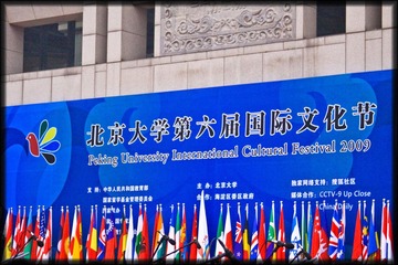 International Cultural Festival