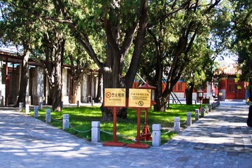 2 Pathways