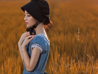 6233517