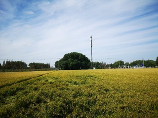 1046449