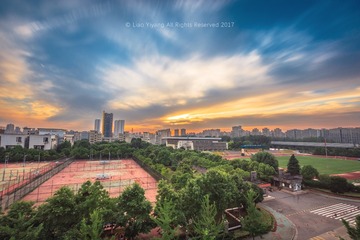 LYY_8978_web2