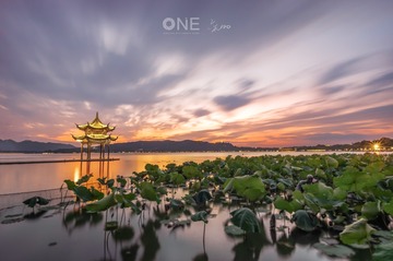 LYY_9319_web