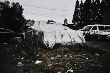 79881