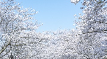 DSCF4580