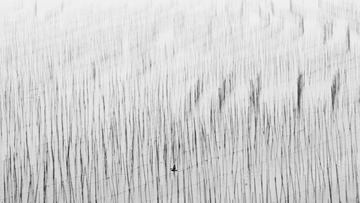 _IGP5896