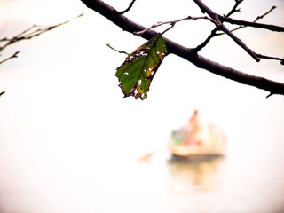 西湖 冬
