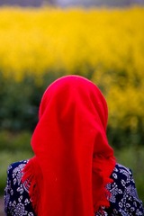 _IGP0490.jpg